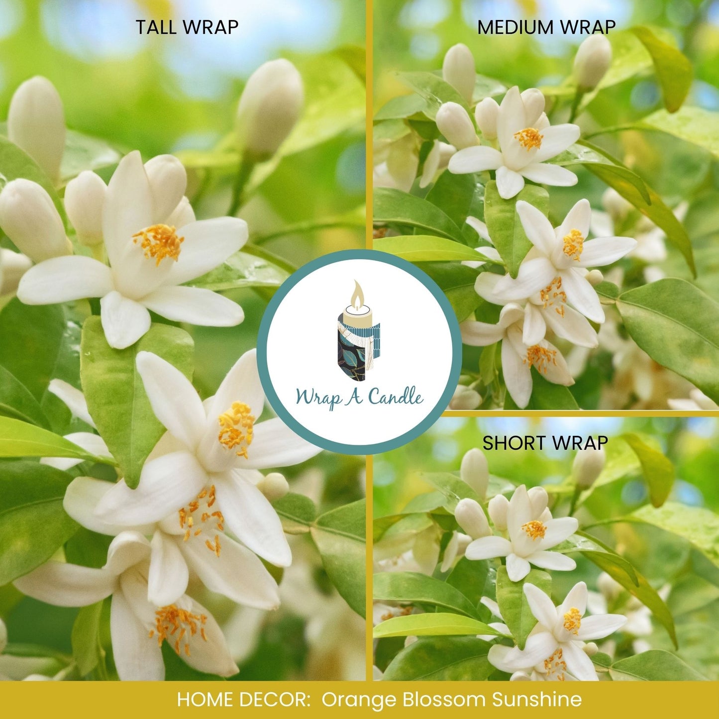 Orange Blossom Sunshine