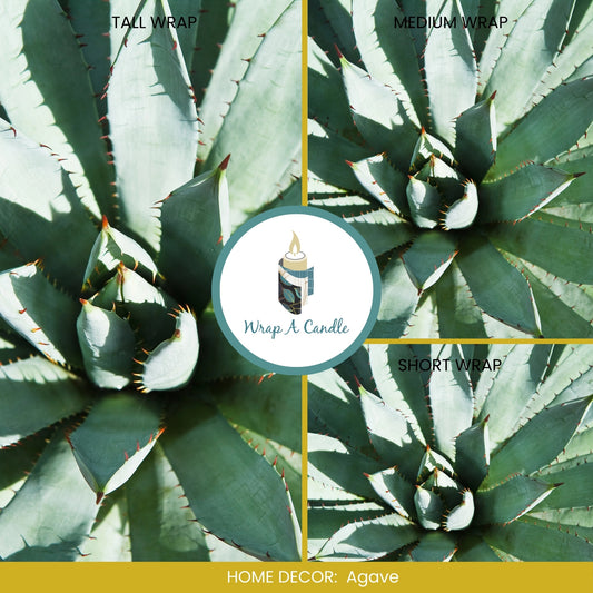 Agave